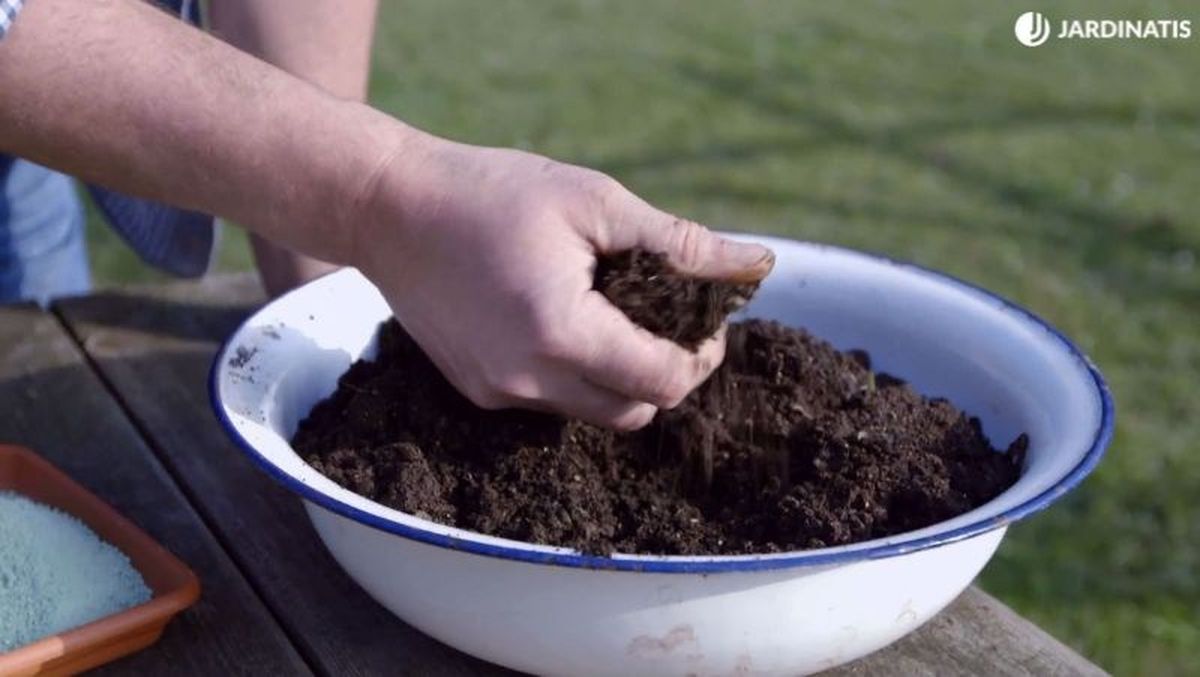 Es la opción más lenta pero, sin embargo, también la más ecológica.