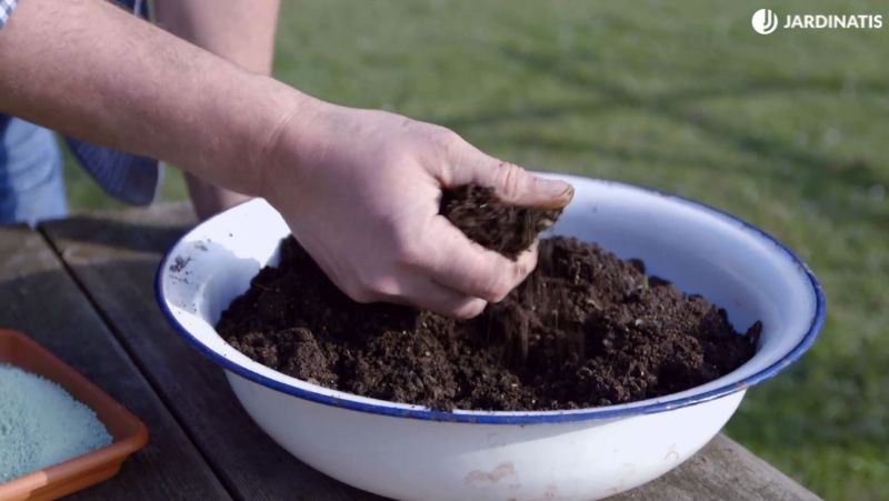 Es la opción más lenta pero, sin embargo, también la más ecológica.