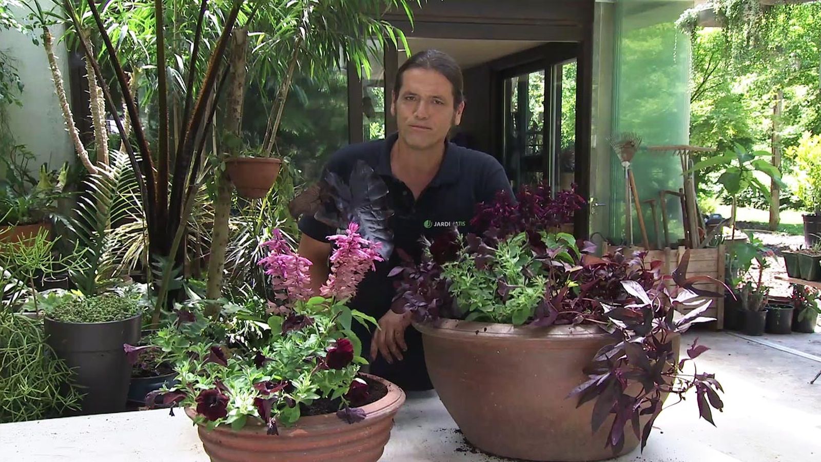 brico jardin 1040 composicion floral granate salvias xl