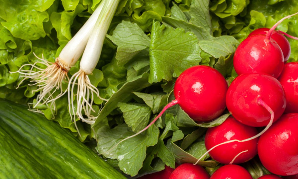 ROJA0020HU10_Recolecta huerta