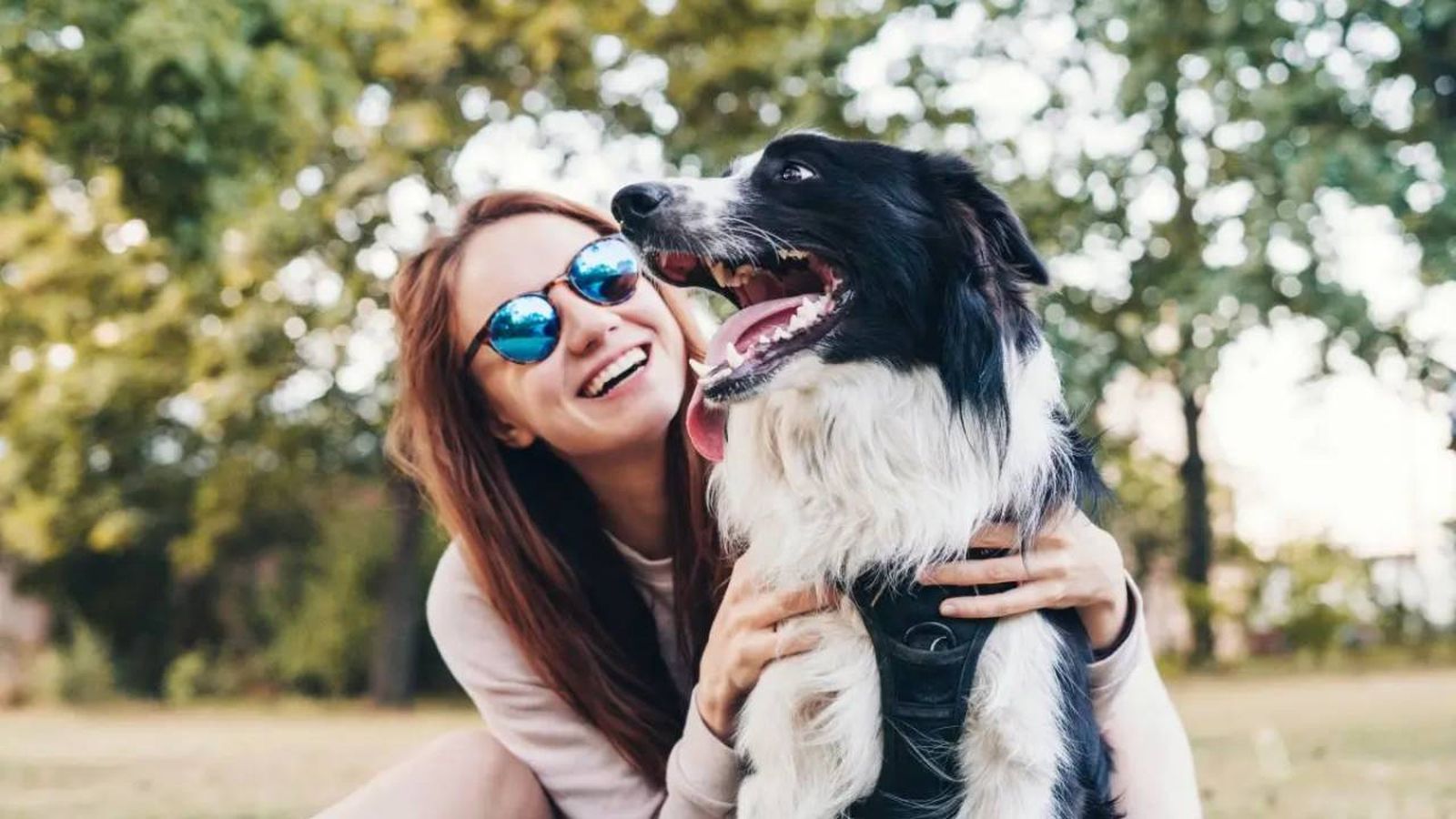 arneses antitirones para perros 1 (1)