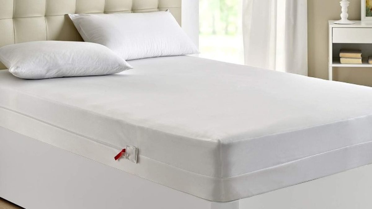 funda anti chinches para evitar infestacion plaga