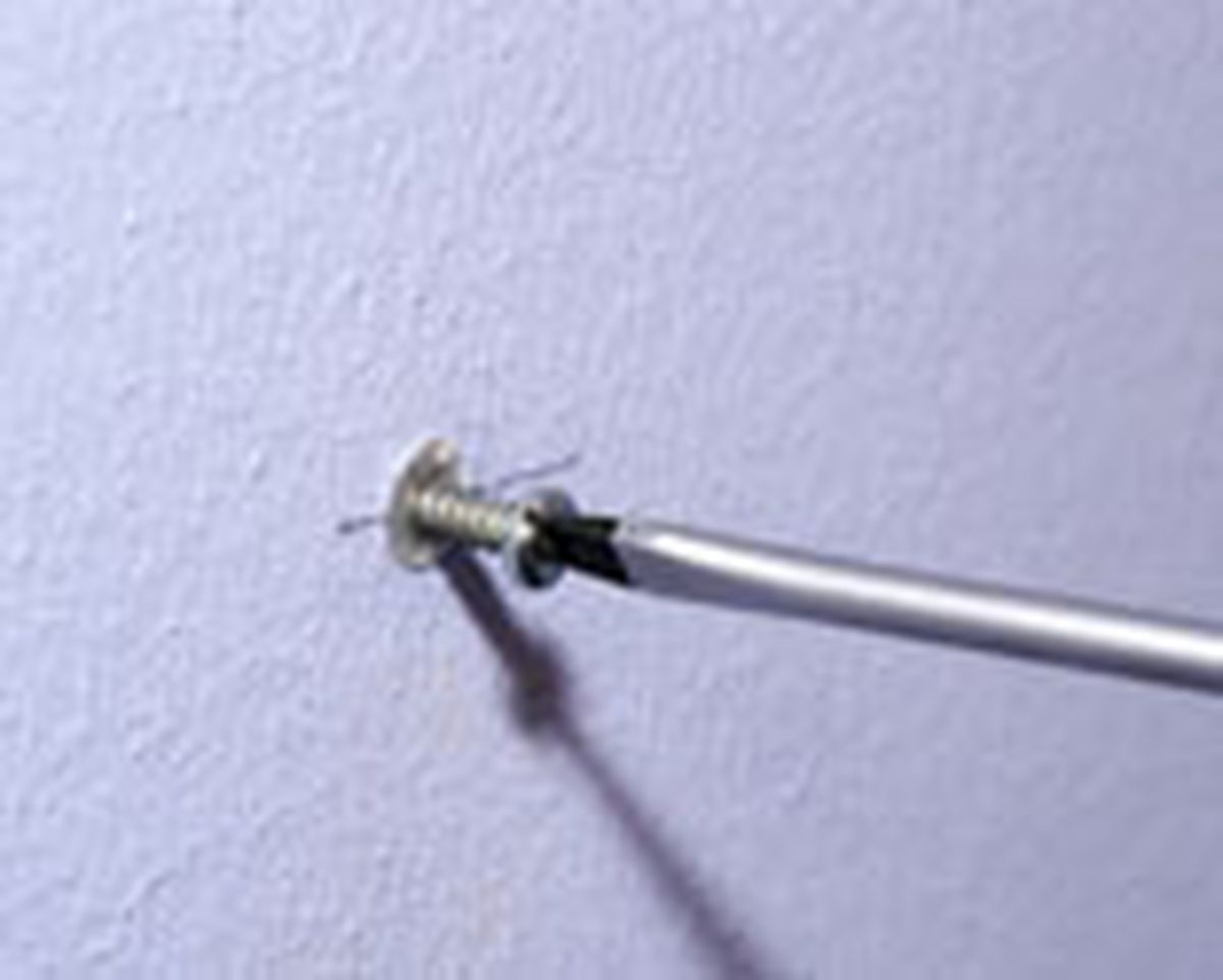 302 col bald pared p6