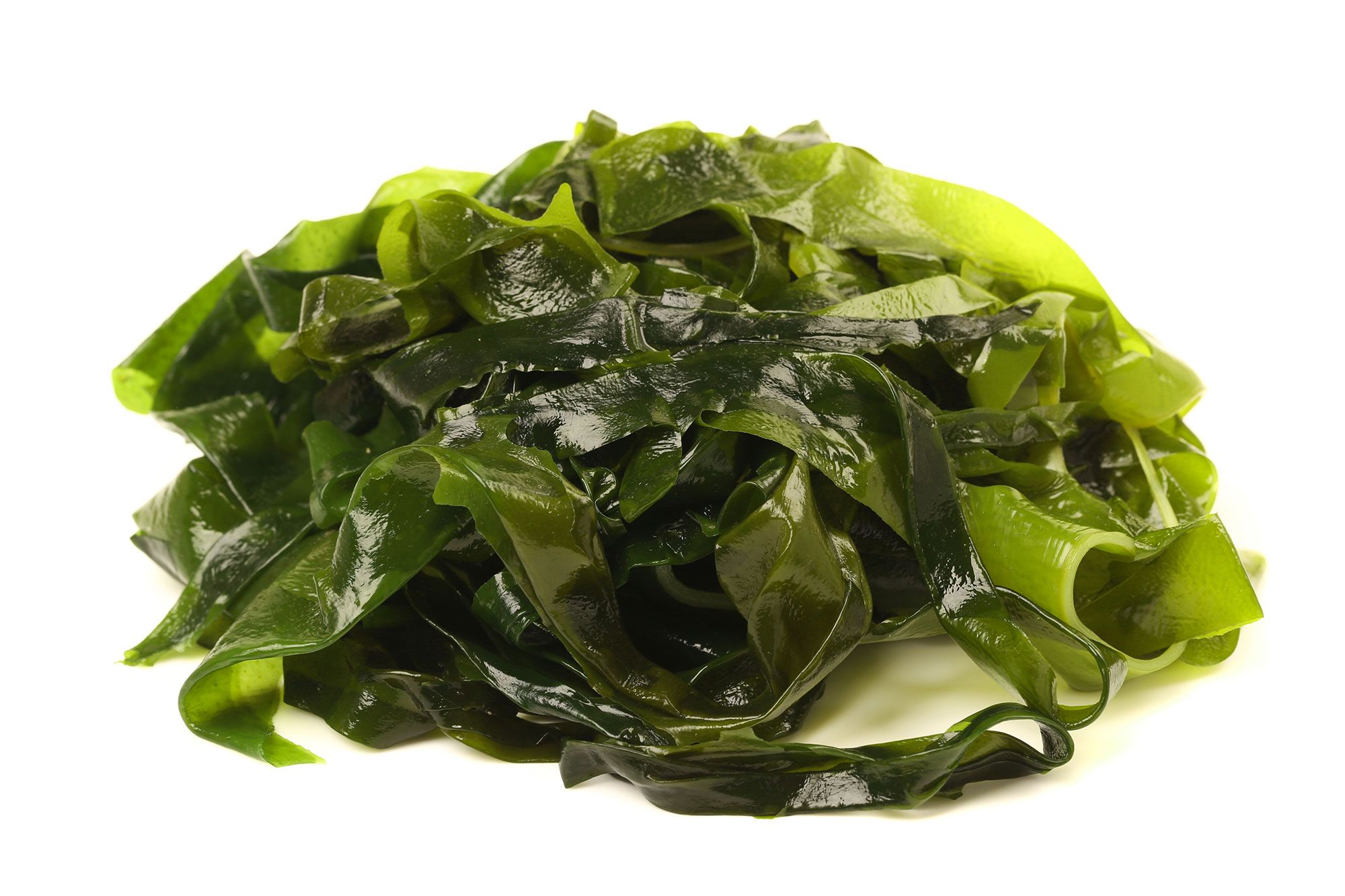 alga kombu fresca xl
