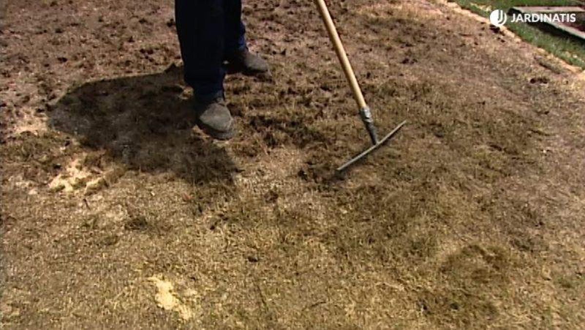 levantar todo el césped viejo que se esté descomponiendo