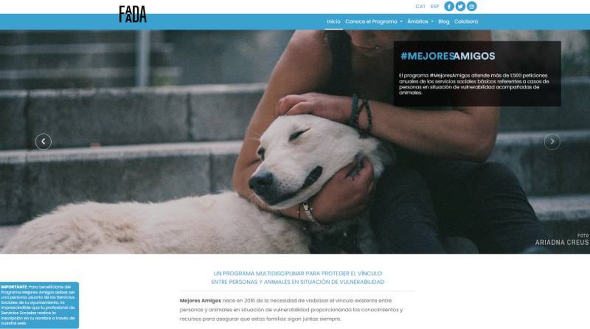 El Ministerio de Derechos Sociales ha puesto en marcha el programa Mejores Amigos.
