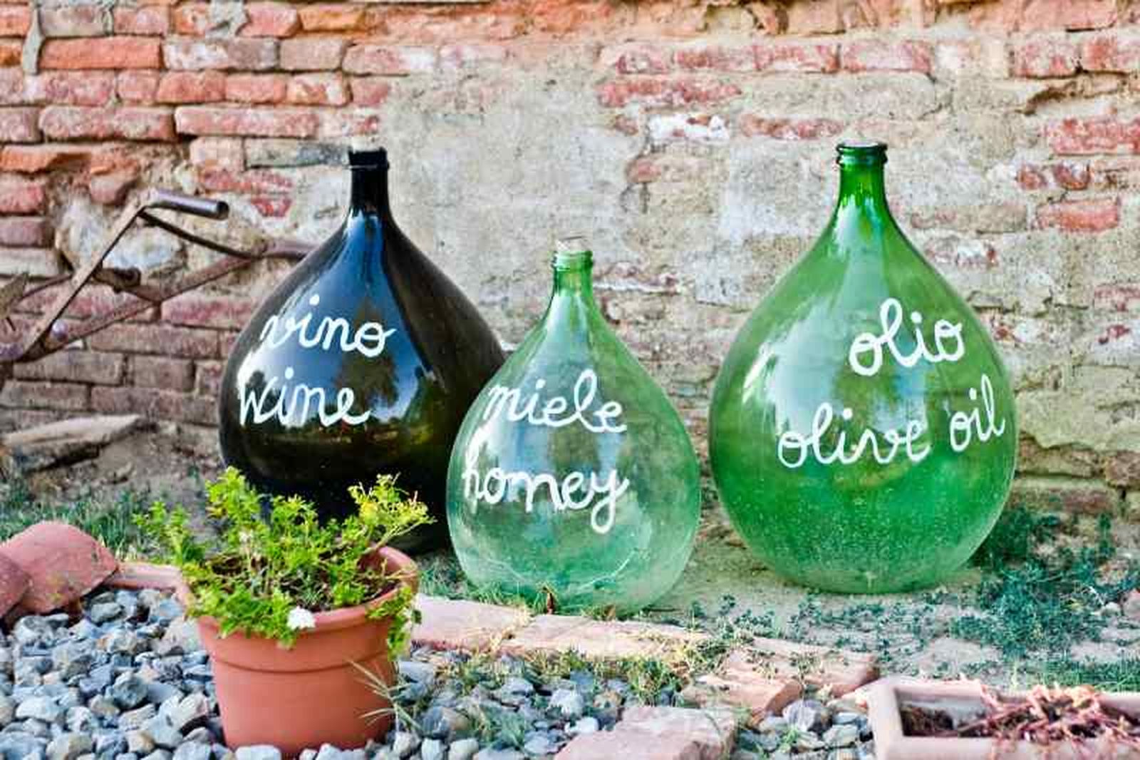 Agua, vinagre y cáscaras de huevo (o arroz) son imprescindibles en su limpieza