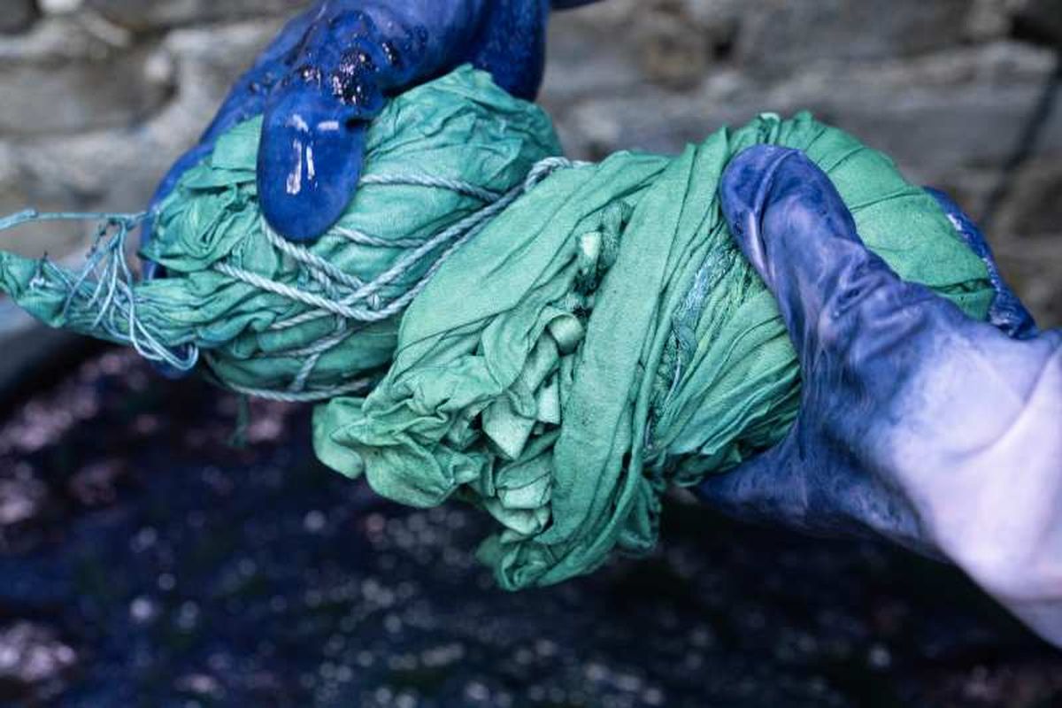 Tiñe telas orgánicas con arándanos para obtener tonos azulados