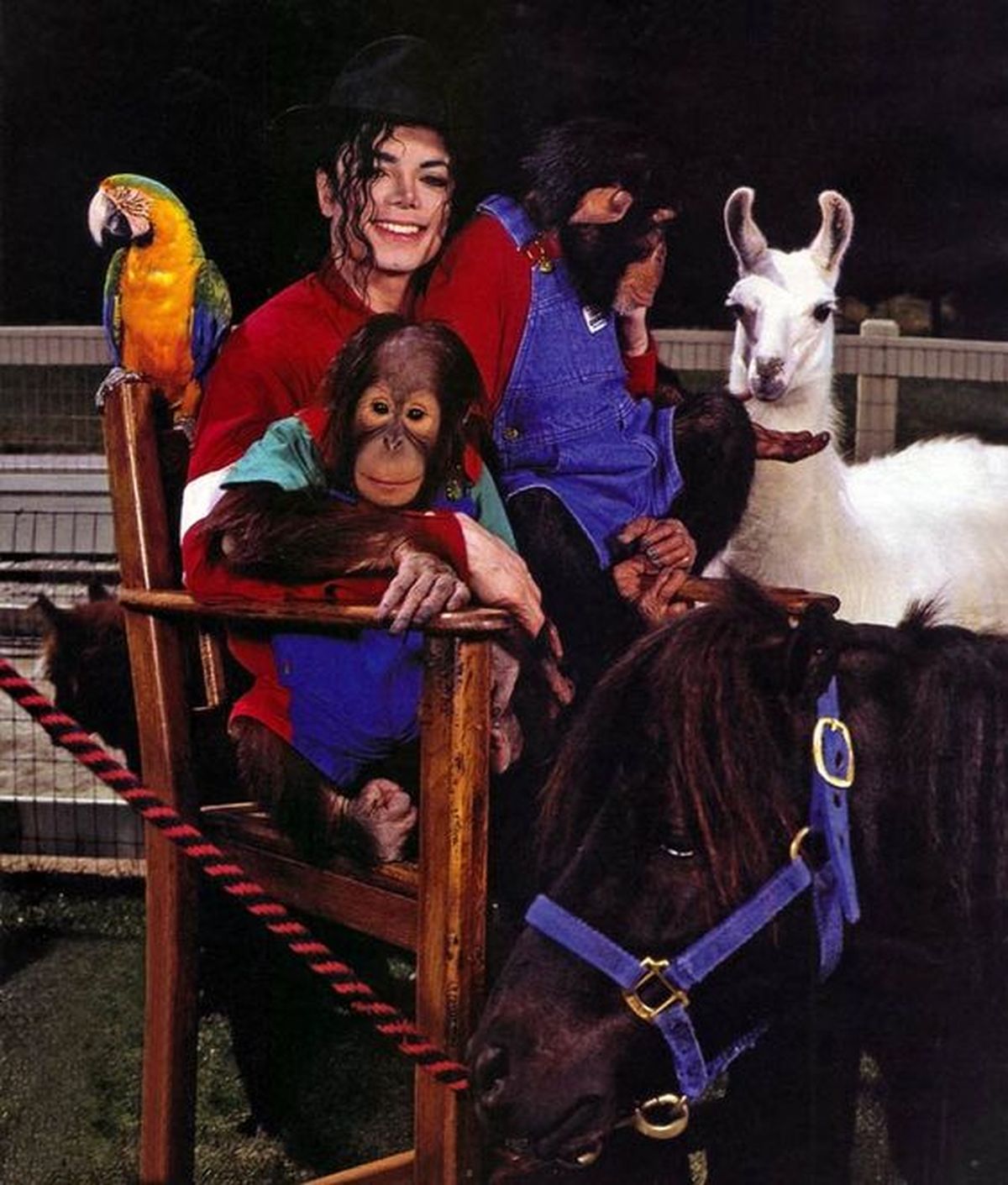 michael jackson neverland animales pinterest la corte del rey del pop