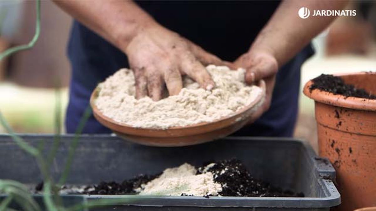 Sustrato para cactus y plantas crasas