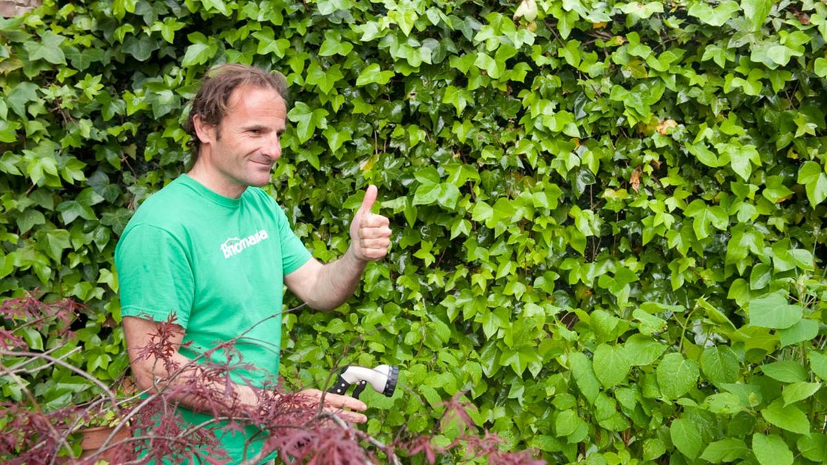 brico 0616 2 puesta apunto manguera paso 8