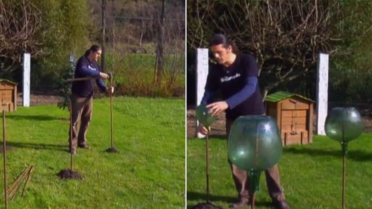 como hacer ahuyenta topos casero jardinatis brico779