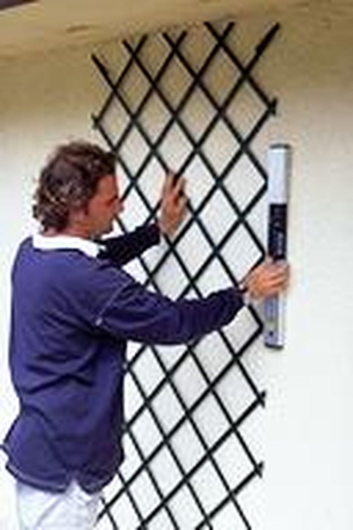 colocar celosia enredaderas p2