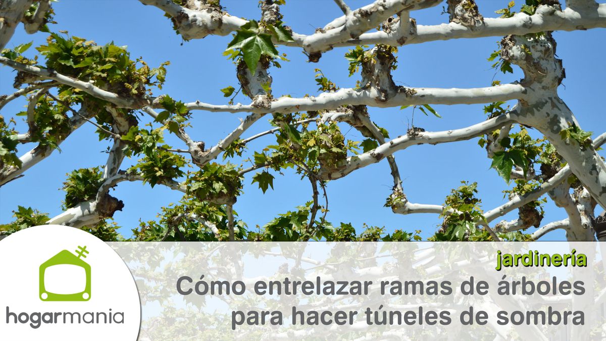 entrelazar ramas tunel sombra xl