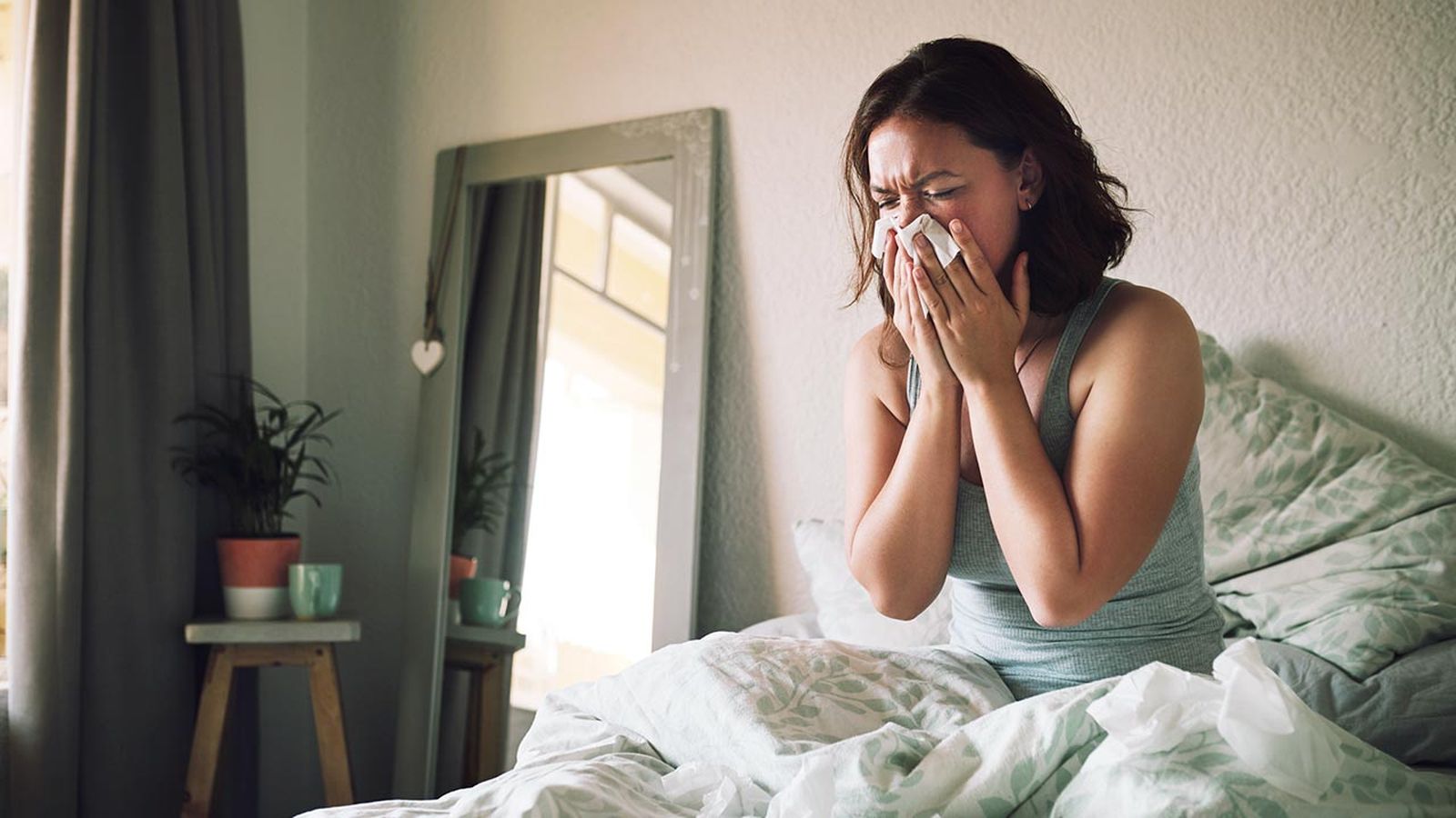 evitar alergias casa