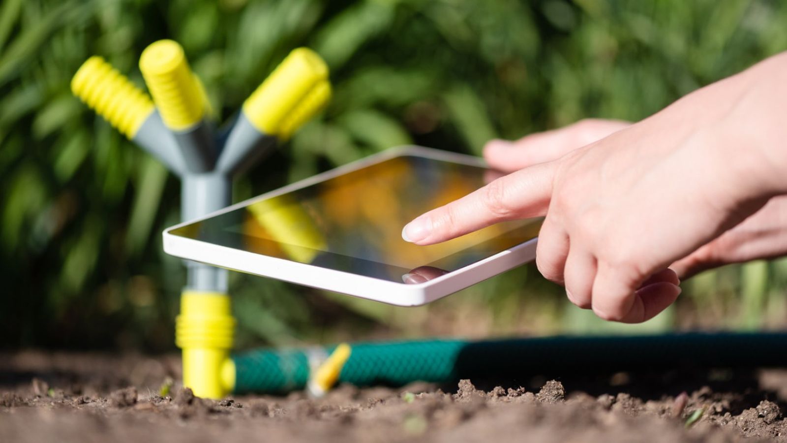 Los programadores automatizan el riego de distintos espacios.