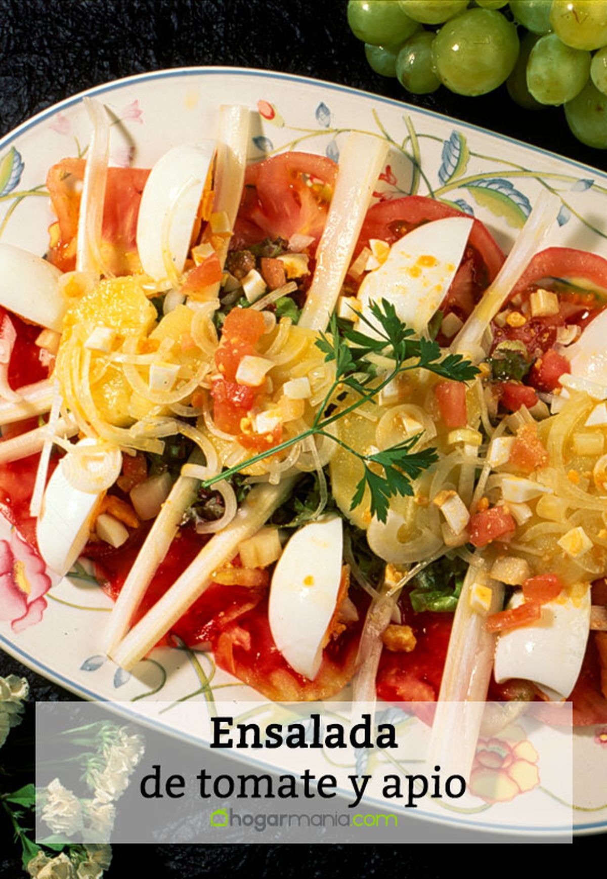 103 1 ensalada tomate apio pin
