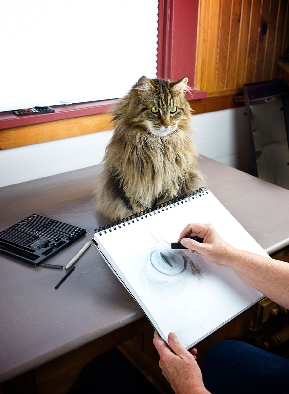 como dibujar con carboncillos modelo cuaderno