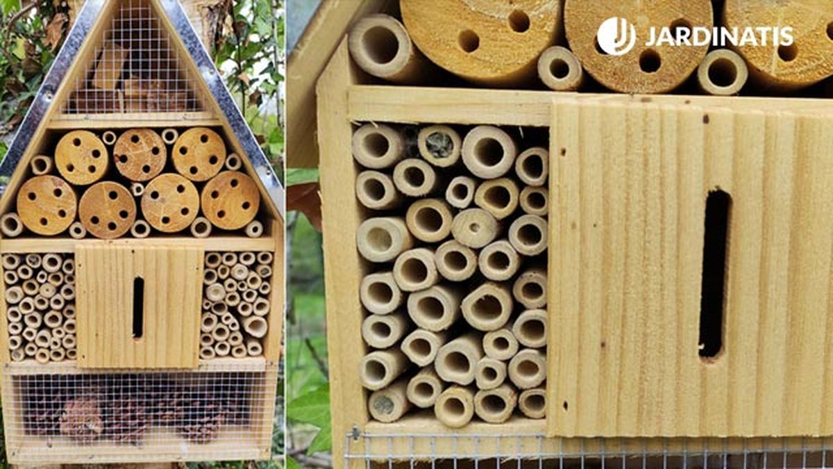 como hacer un hotel de insectos de forma casera xl