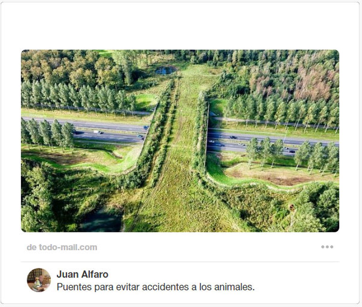 ecoductos pasos verdes animales 2