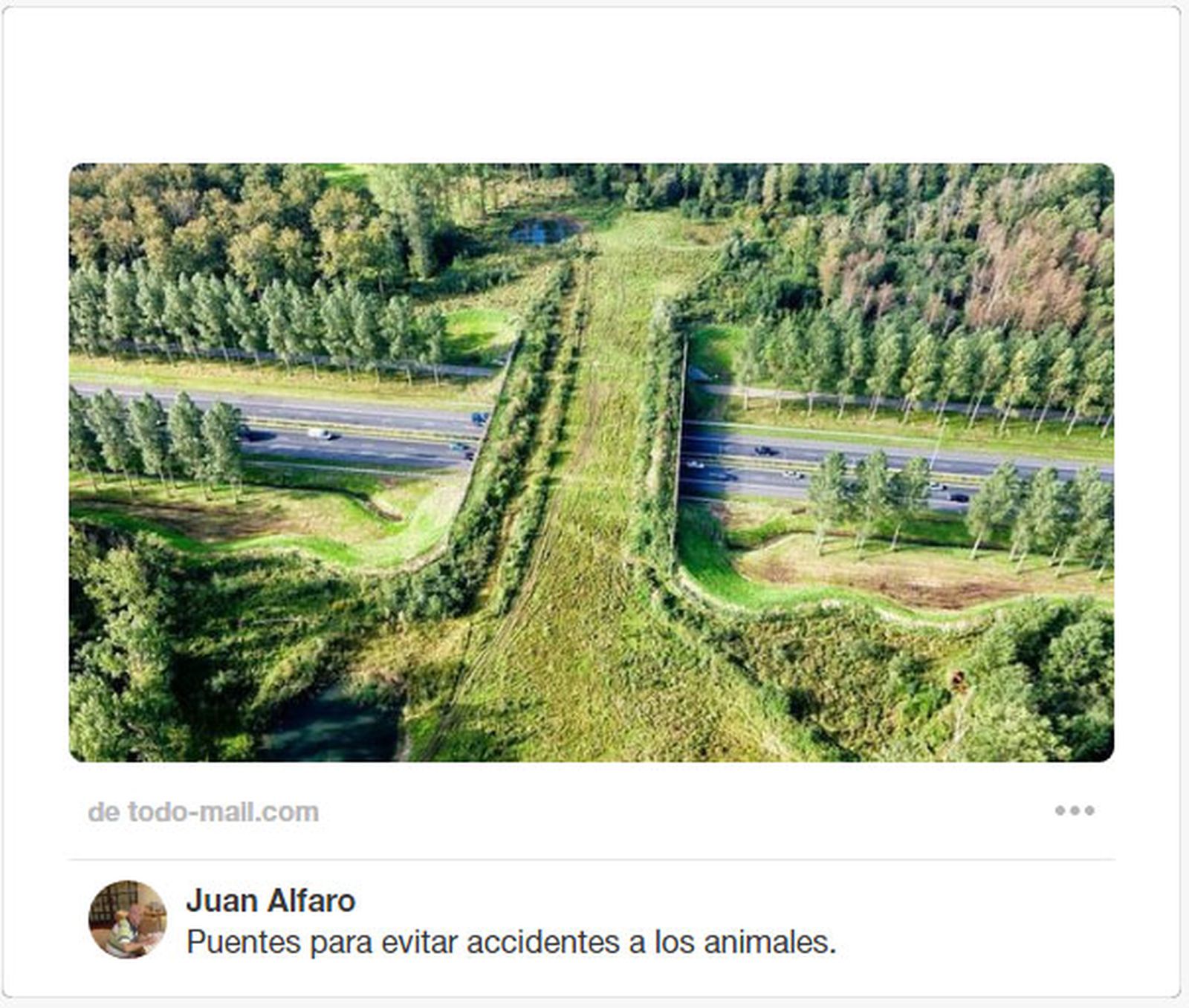 ecoductos pasos verdes animales 2