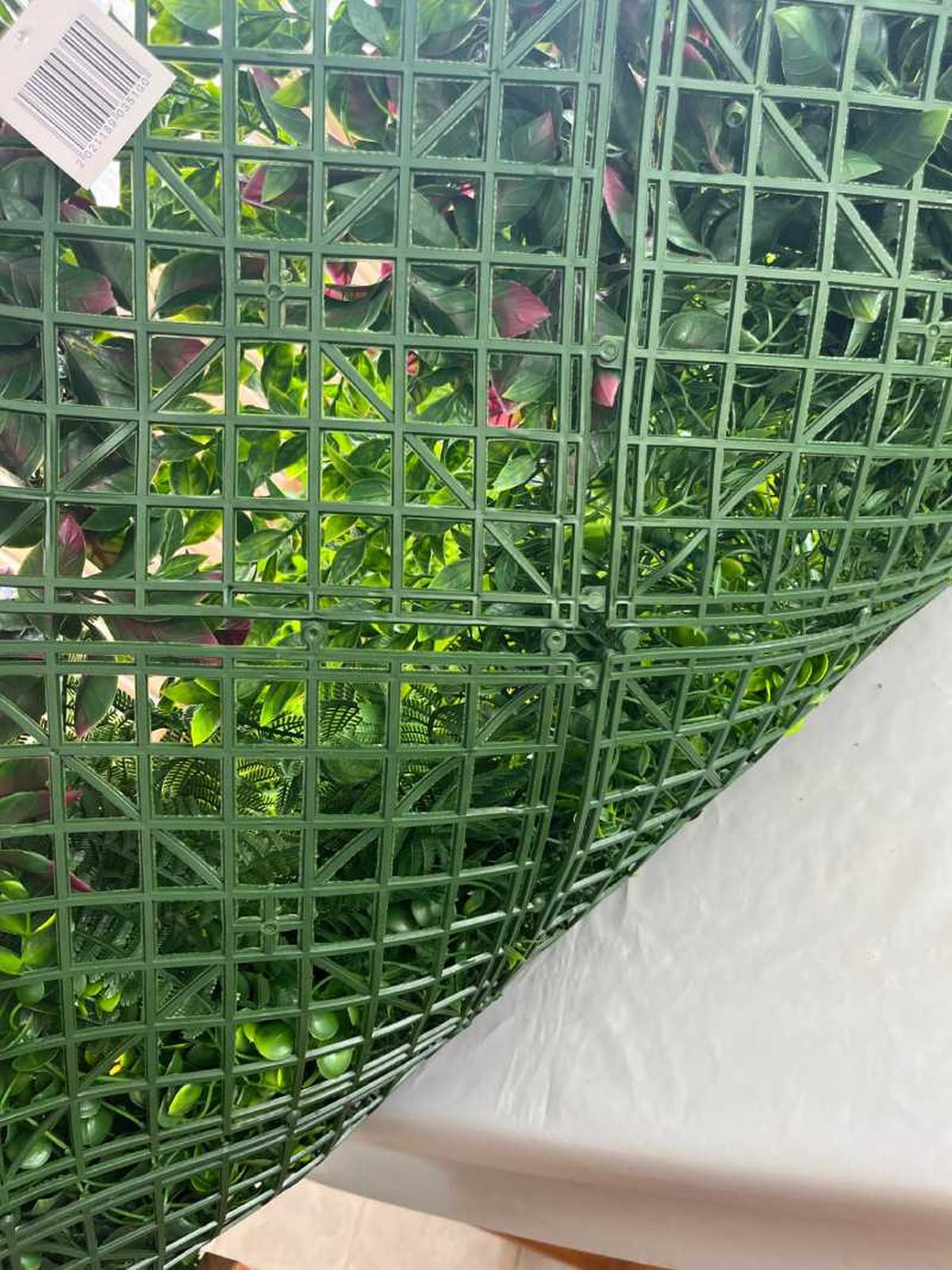 Trasera del jardín vertical.