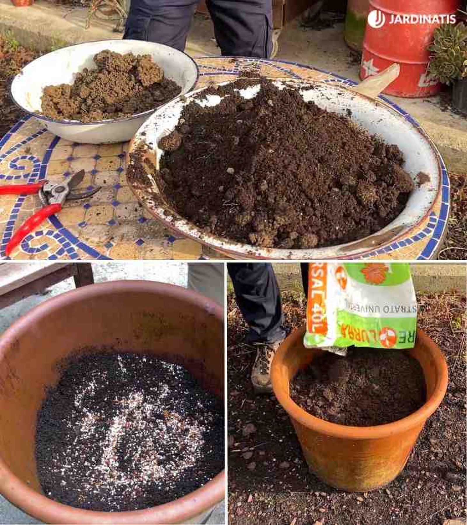 sustrato casero para olivo en maceta