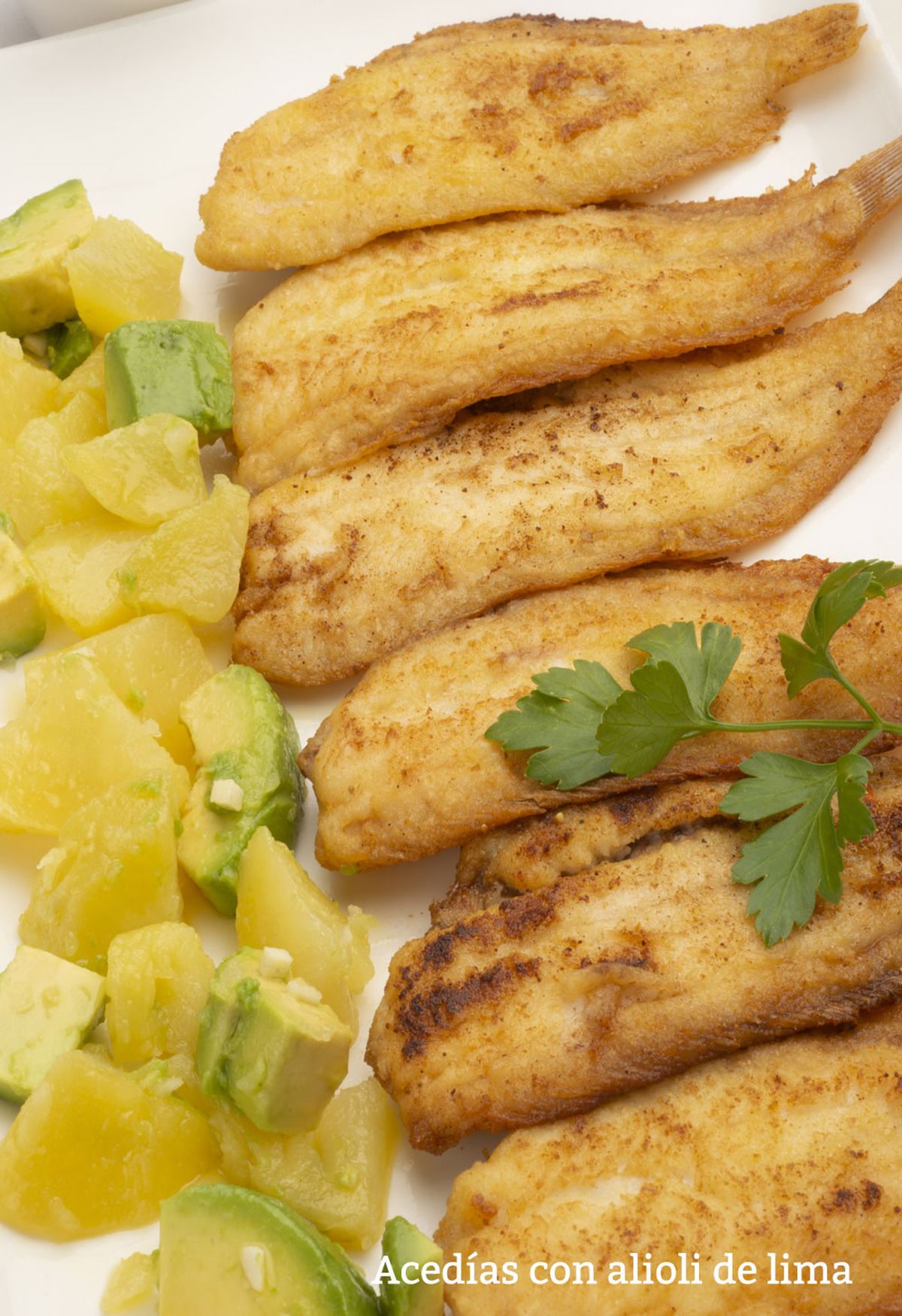 acedias alioli vertical