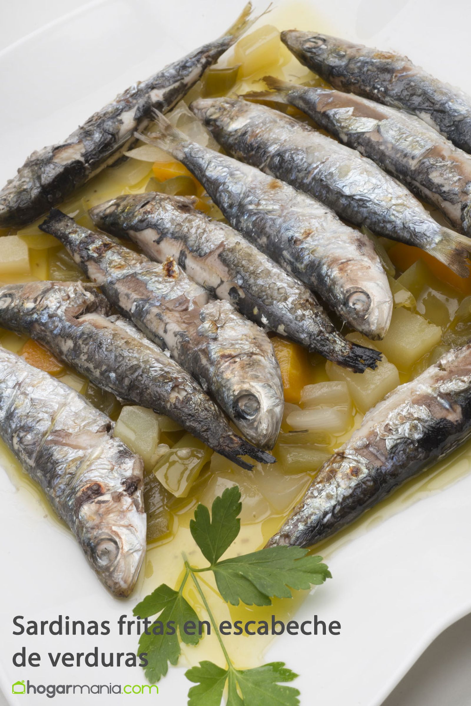 sardinas fritas pinterest