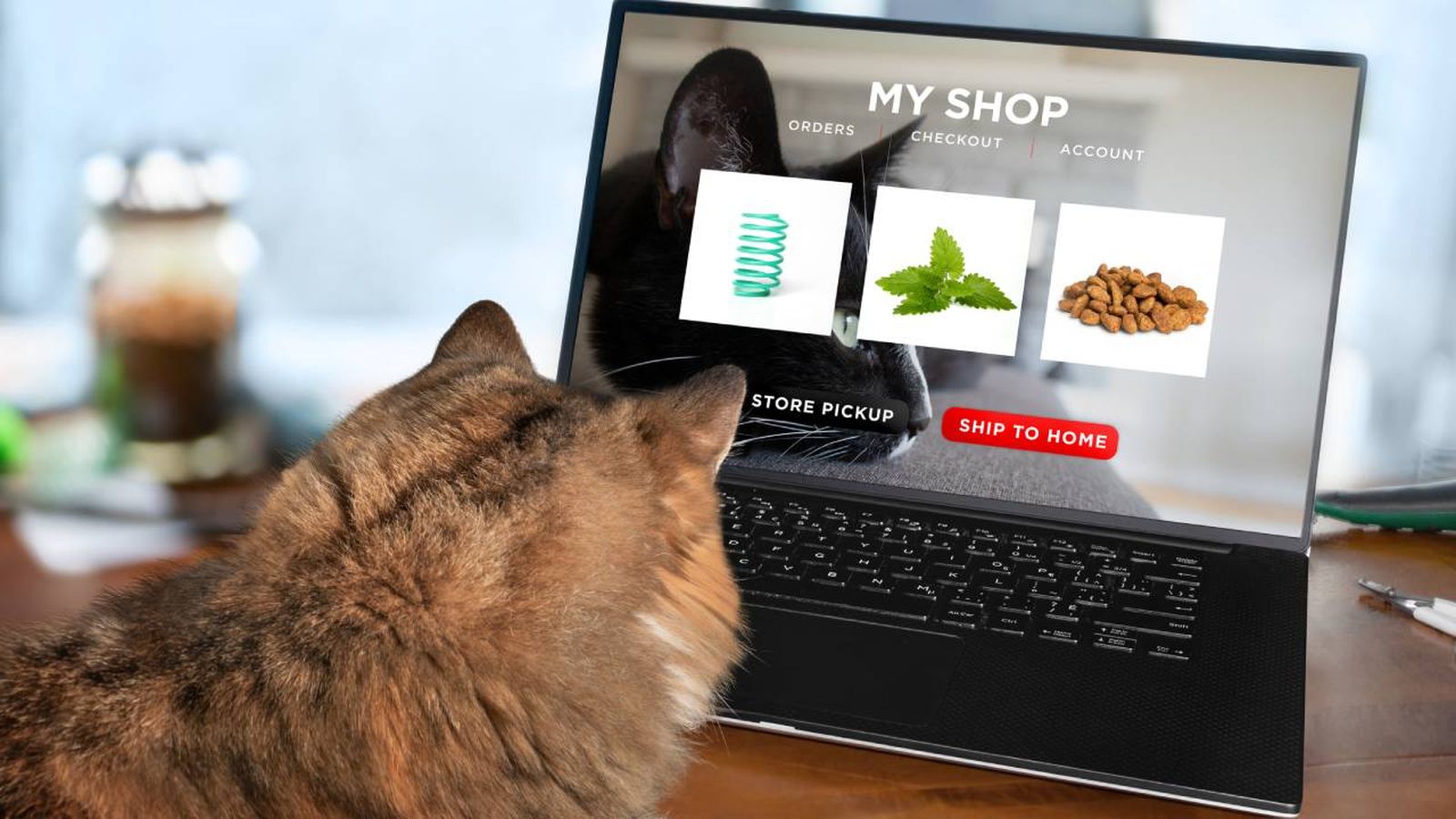 productos para gatos mas vendidos amazon