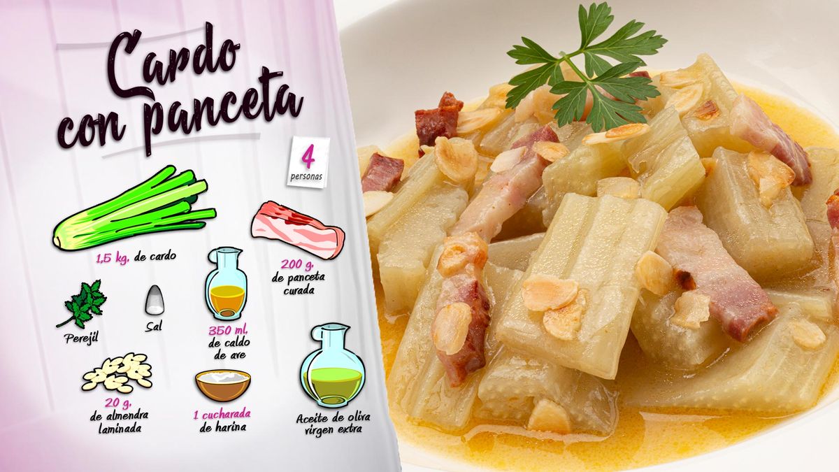 karl6673 cardo panceta ing