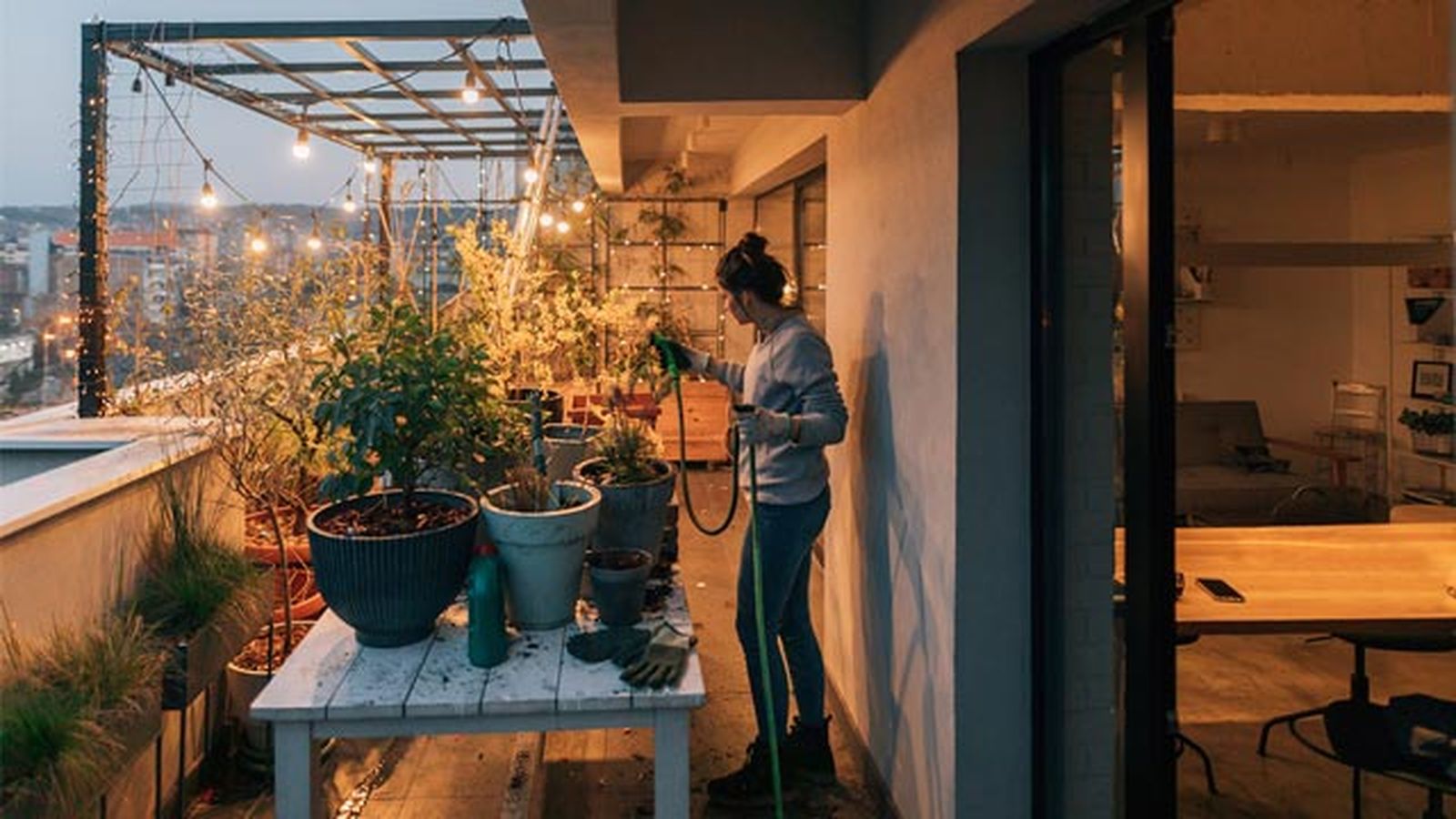 No olvides regar tus plantas y el suelo para refrescar el ambiente más seco.