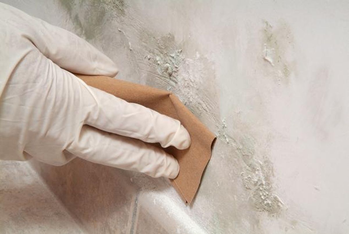 brico 0471 1 Pintado humedad sotano paso 1