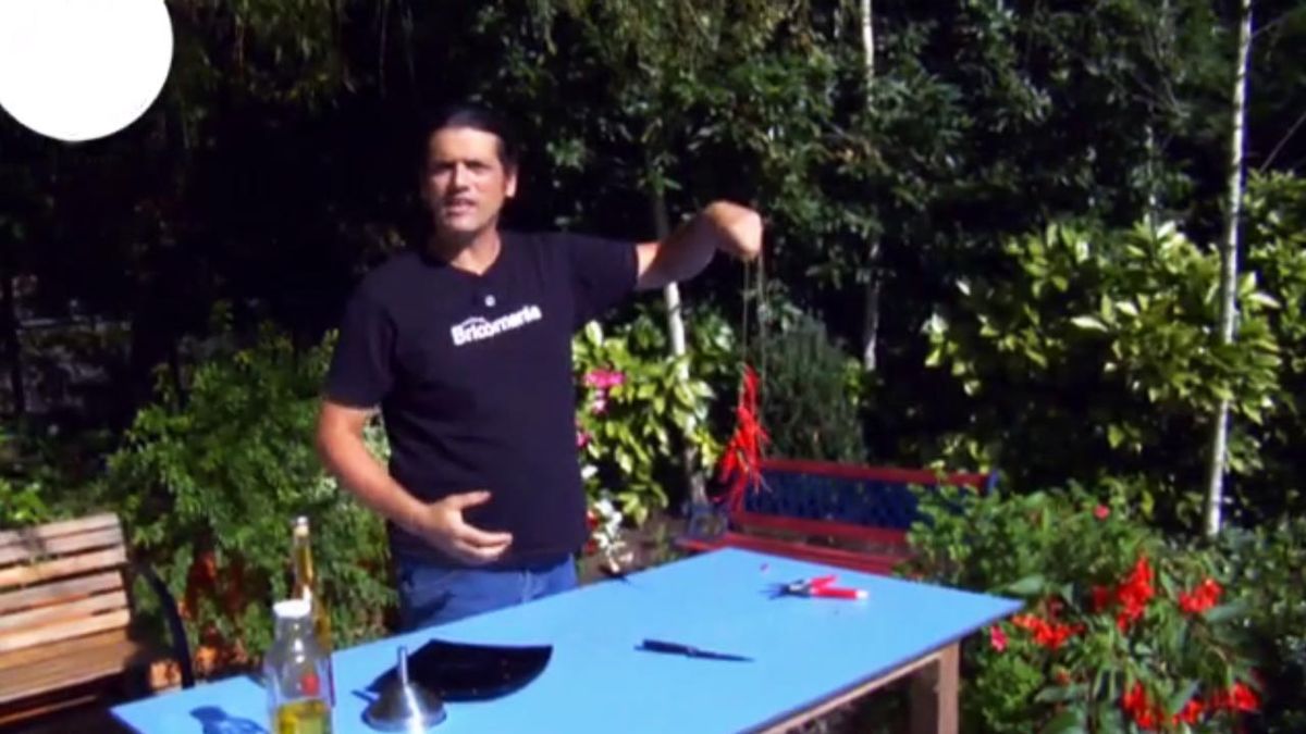 BRICO_JARDIN 763 ristras