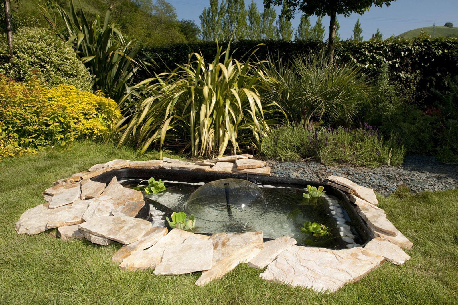 brico 0620 estanque jardin