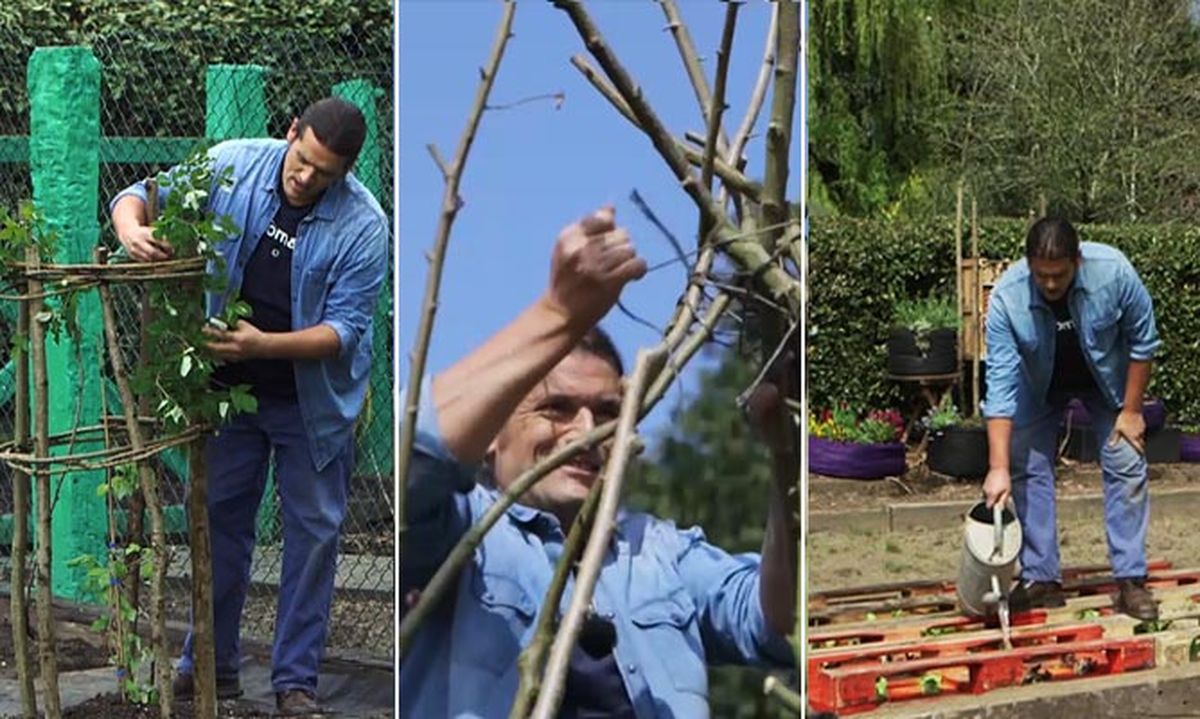 estructuras para cultivo verduras hortalizas xl