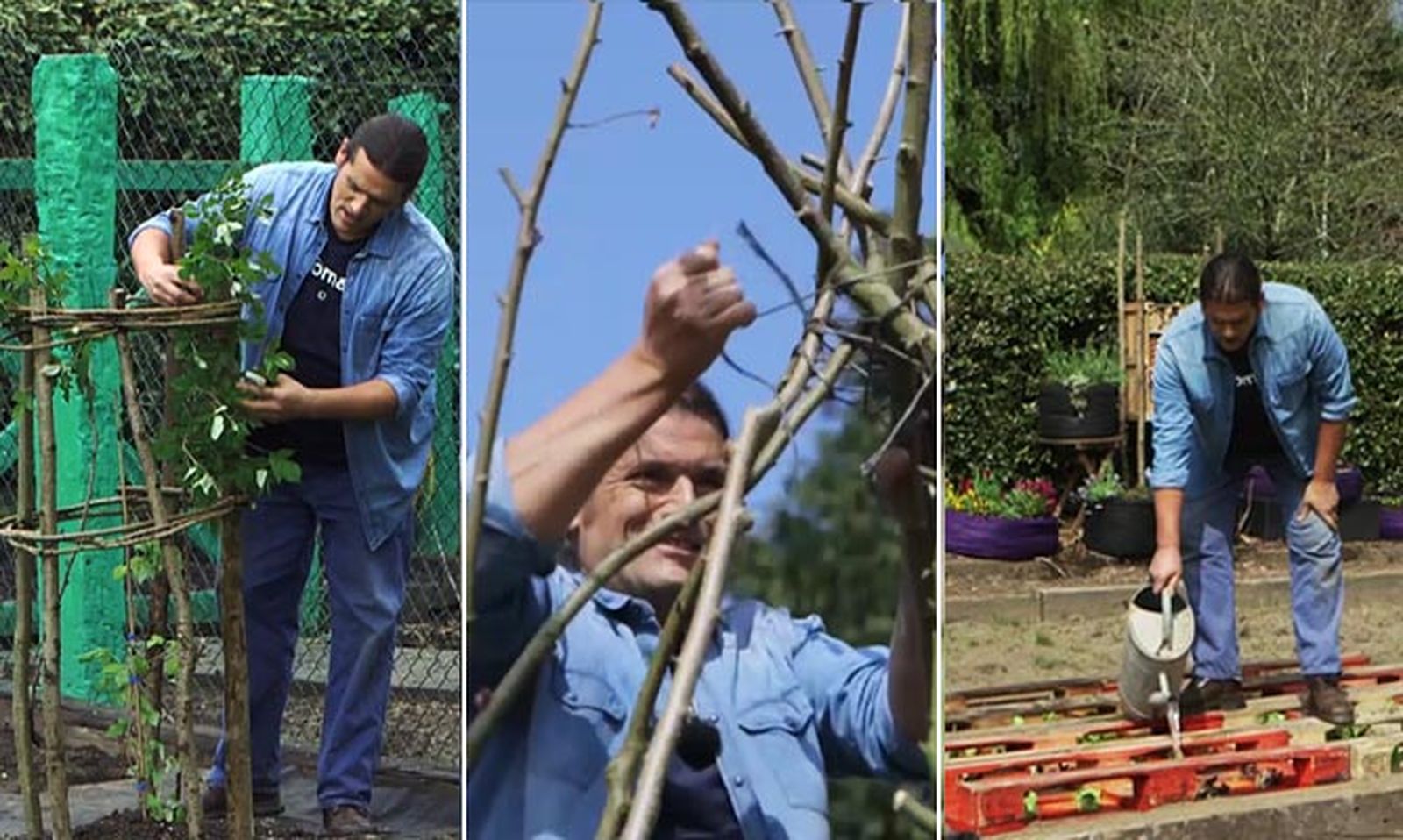 estructuras para cultivo verduras hortalizas xl