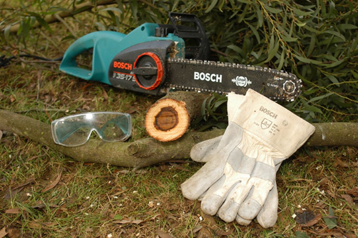 Cómo podar las ramas grandes de un árbol paso 1