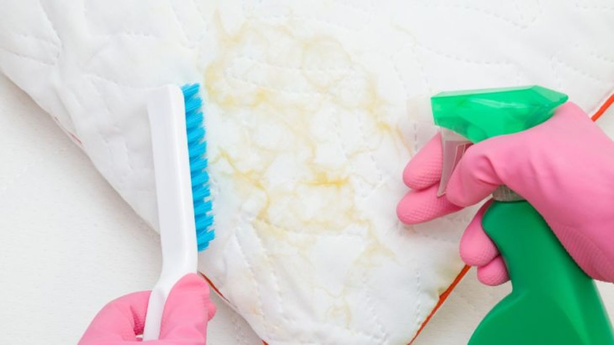 limpiar grasa cojin xl