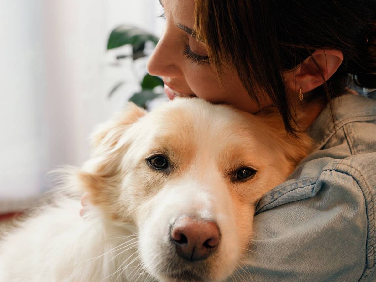 El contacto físico con humanos reduce los niveles de estrés en los perros.