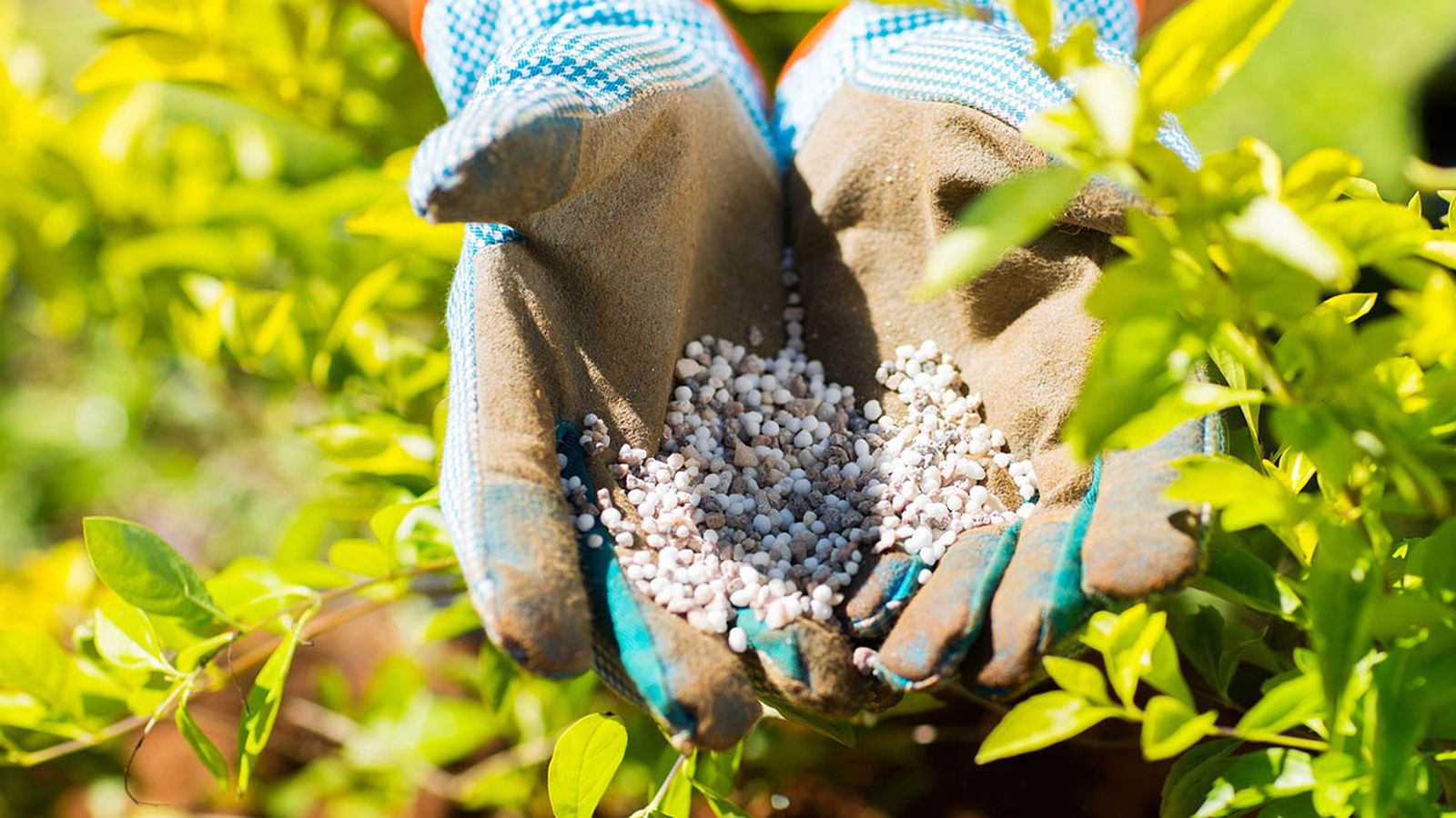 abono fertilizante tipos jardineria