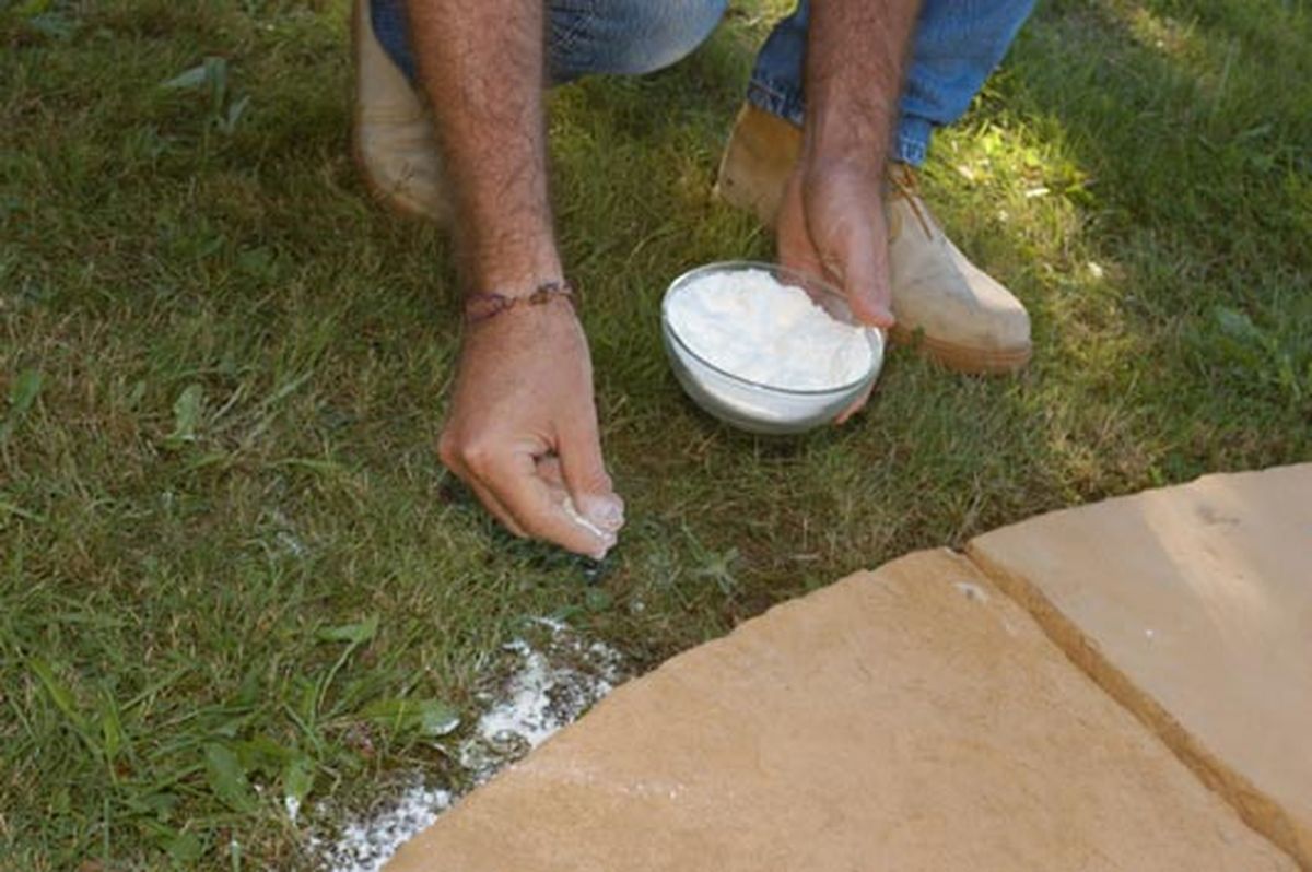 Enlosado decorativo para jardín paso 1