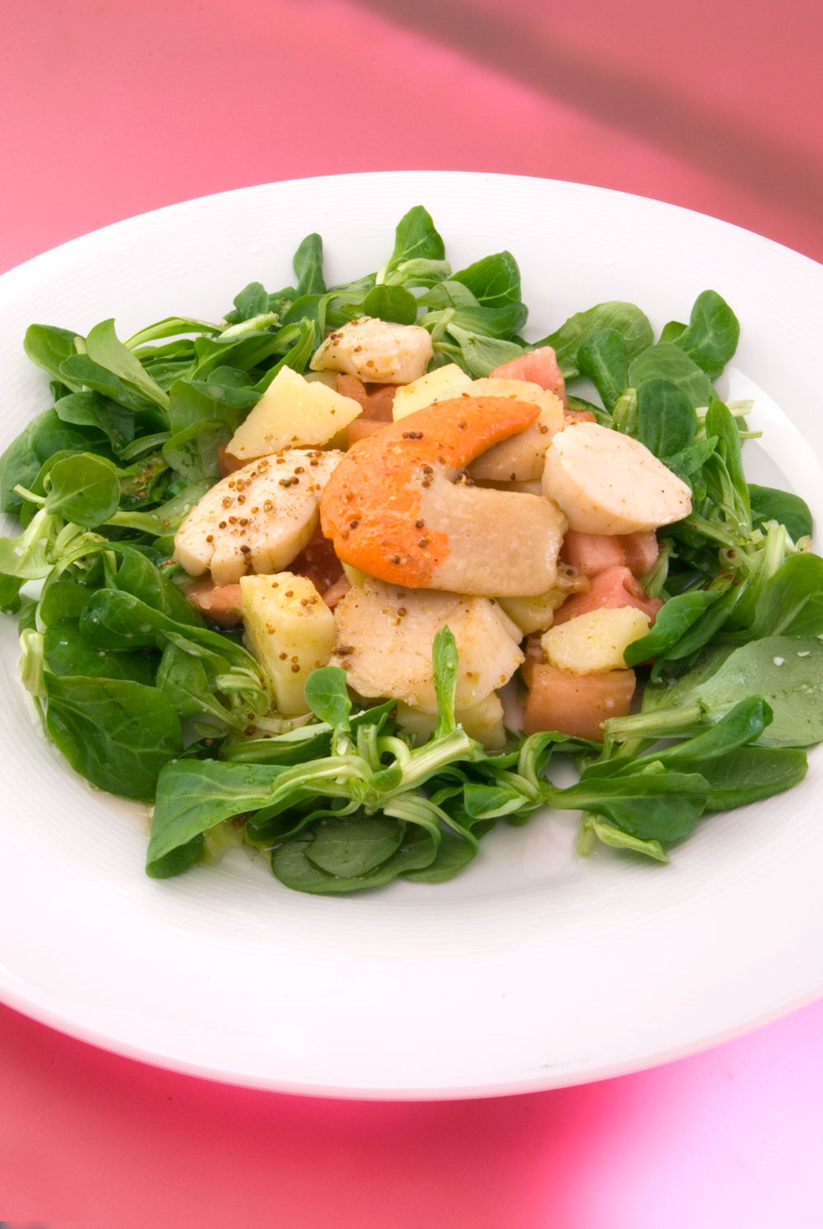 karl4161 ensalda templada de vieiras xl