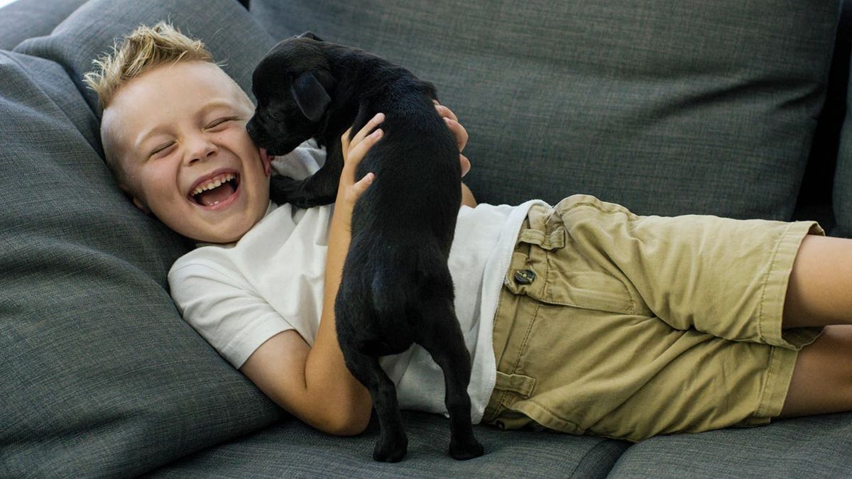 animales reducir asma ninos 1