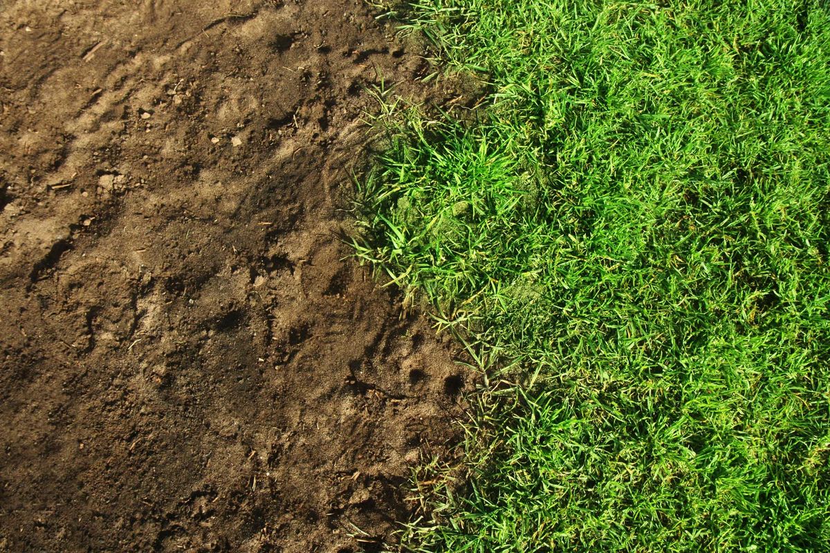 Cómo arreglar una calva de césped en el jardín