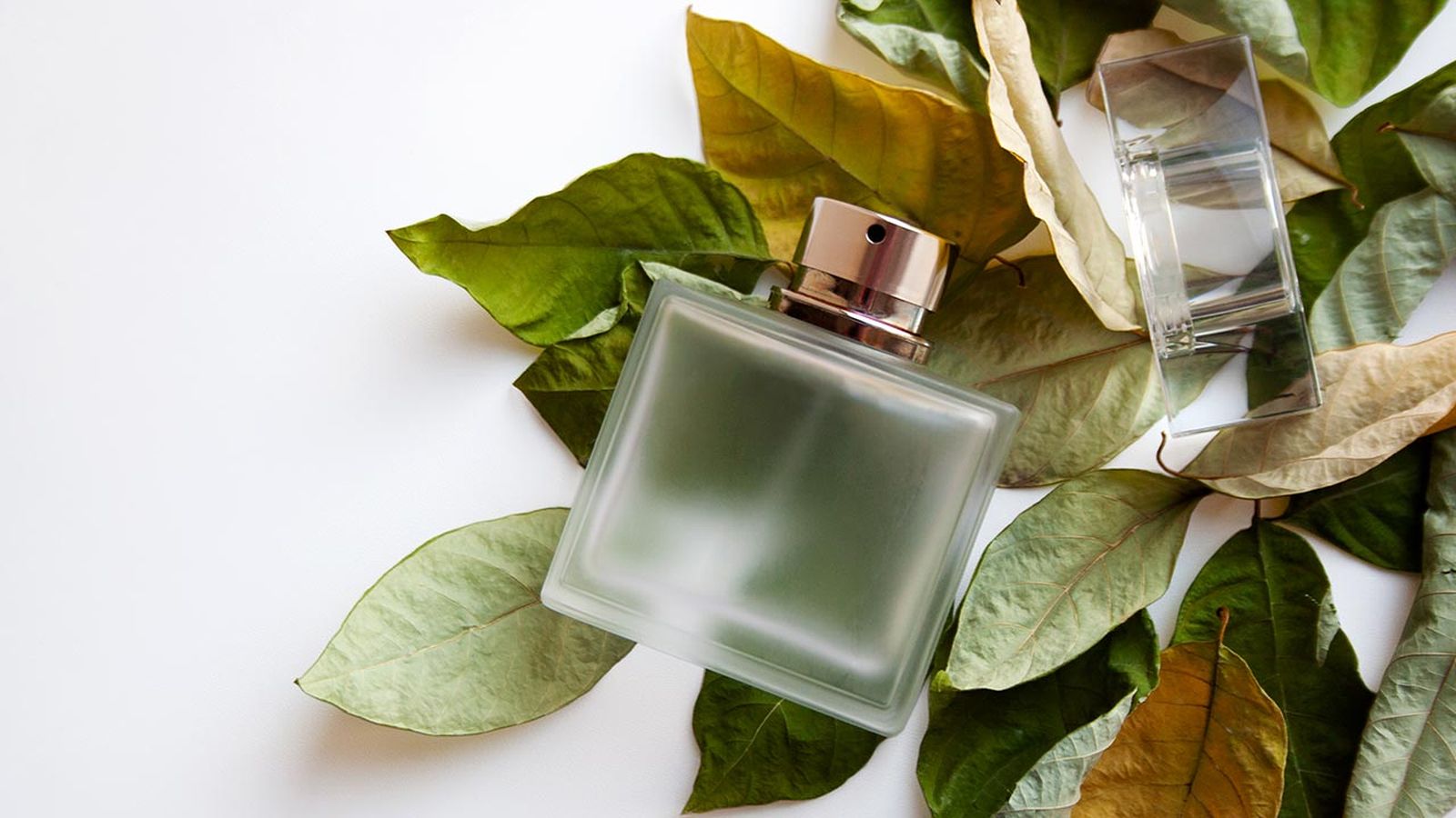 5 trucos para elegir un perfume y acertar siempre