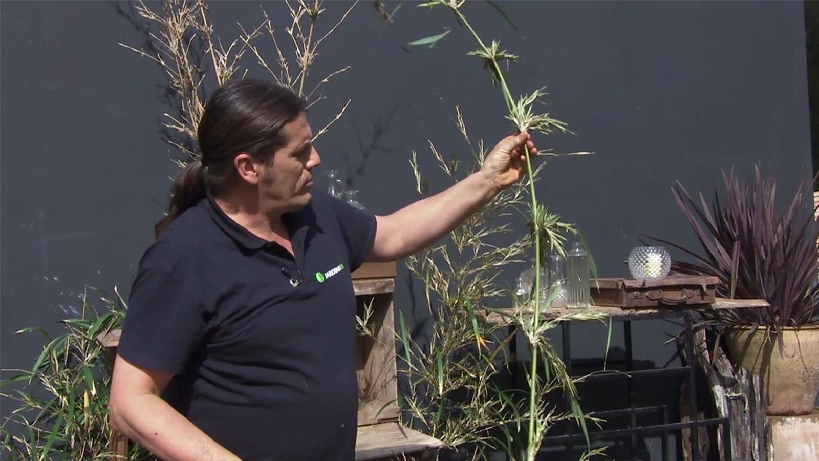 deco 772 jardin floracion bambu xl