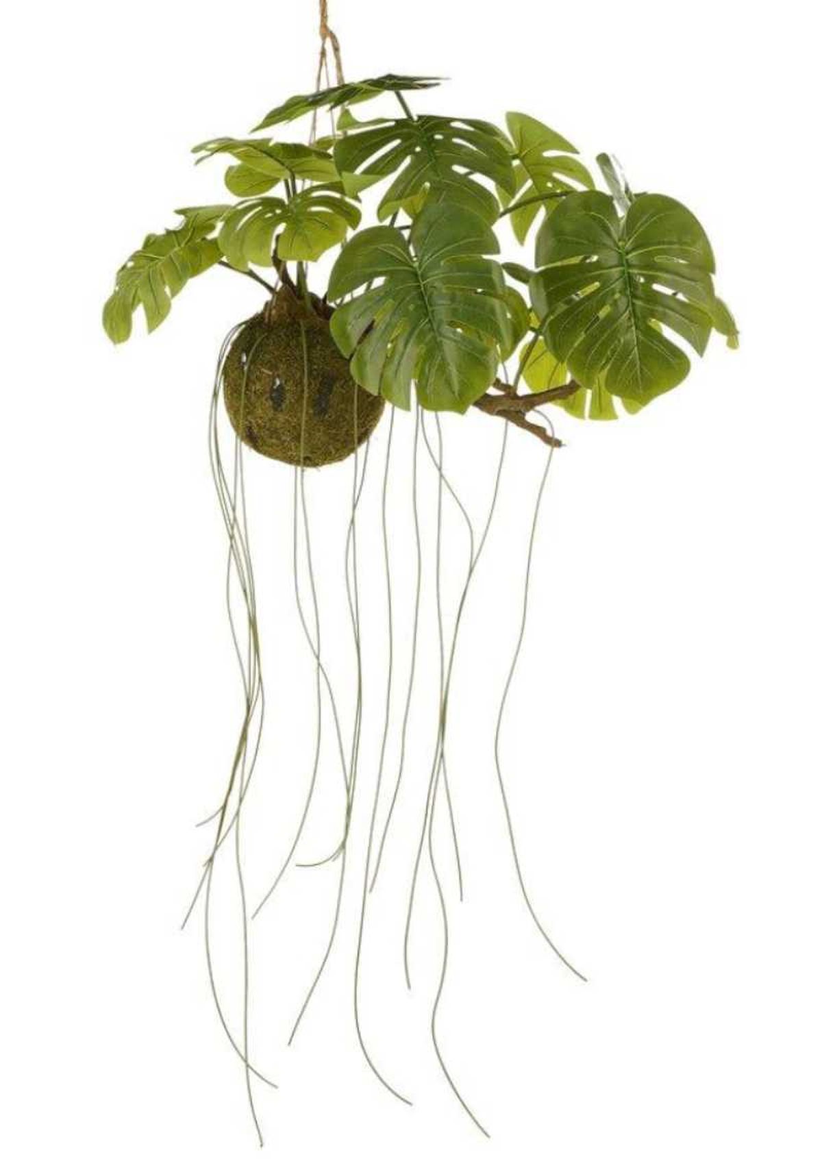 Kokedama artificial de Monstera (Costilla de Adán).