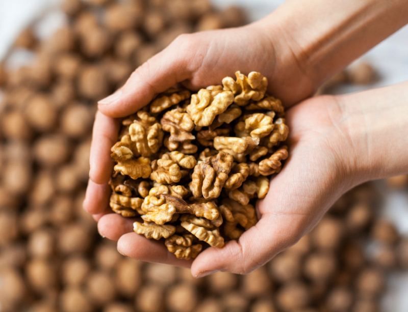 Cuidar nuestro nogal nos asegura una deliciosa cosecha de nueces.
