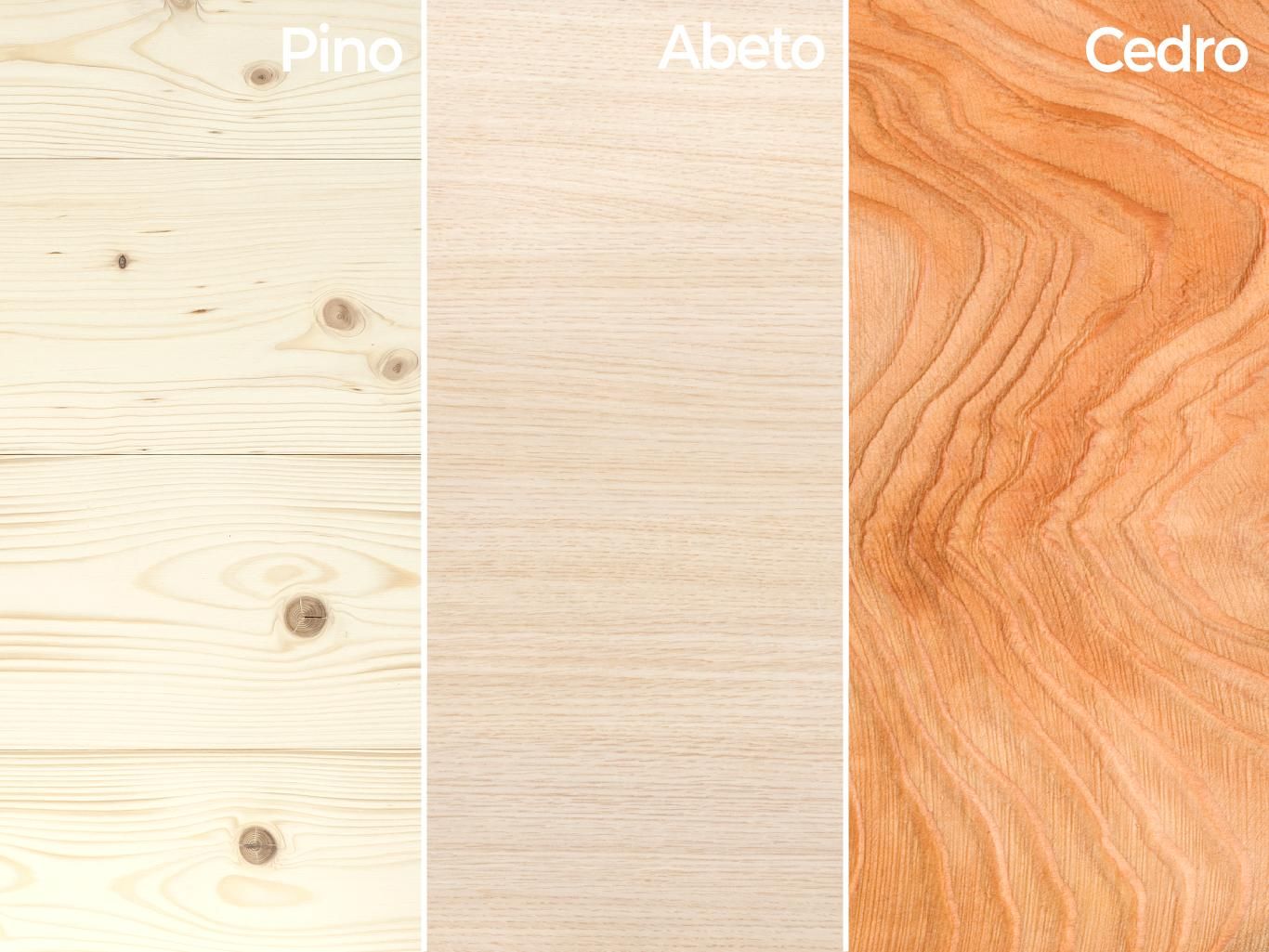 Pino | Abeto | Cedro
